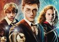 Harry Potter HBO Max (2)