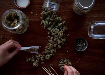 conoce-los-cambios-para-el-uso-ludico-de-cannabis