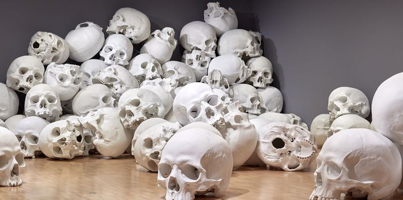 visita-skulls-art-una-exhibicion-inmersiva-en-la-capital