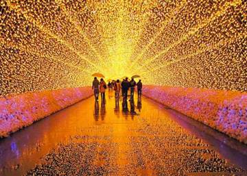 visita-el-festival-de-luces-lights-of-japan-un-evento-organizado-por-la-comunidad-japonesa-en-mexico