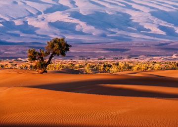 Australian Desert